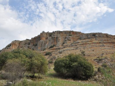 Slide Image