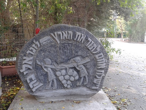 Slide Image